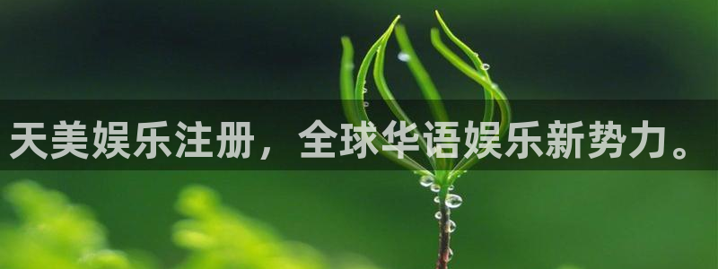 伟德国际集团 壹号(one game)