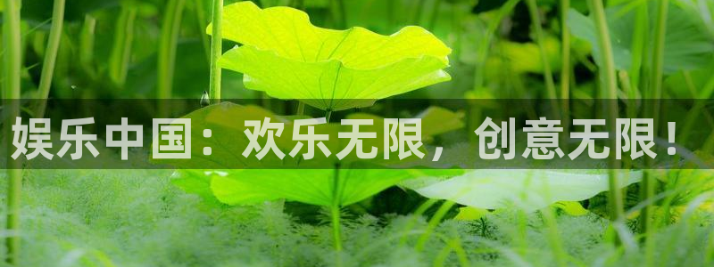 运达娱乐是什么