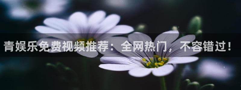运达娱乐,apk