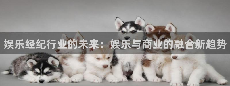 运达娱乐下载链接