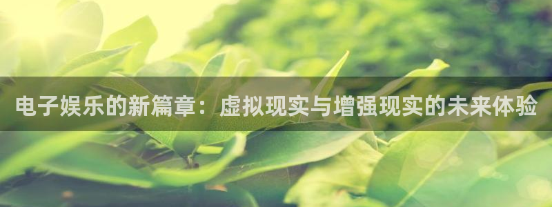 运达娱乐官网