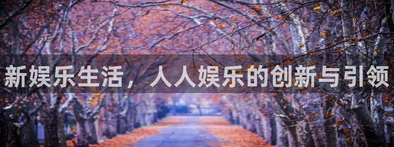 运达娱乐下载入口