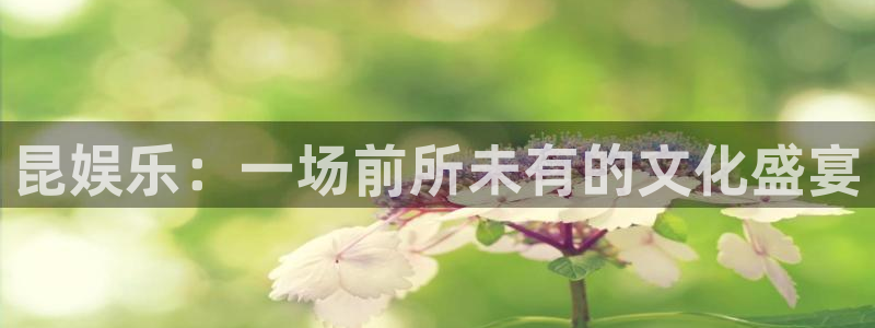 壹号大舞台官网入口