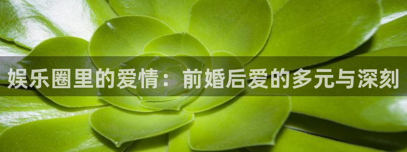 运达娱乐注册平台