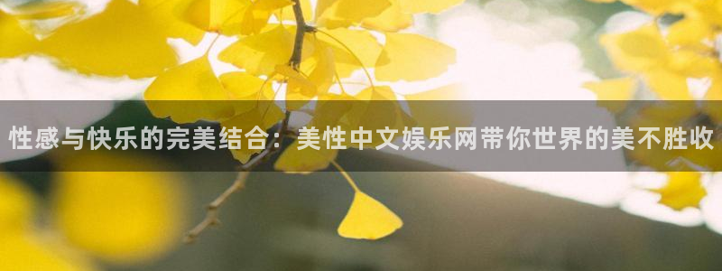 运达娱乐在线下载