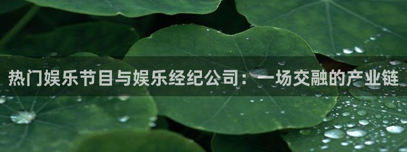 运达娱乐注册链接