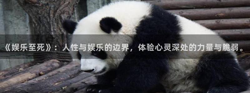 运达娱乐那个爆率高