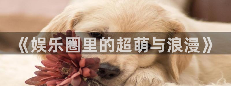 运达娱乐免费注册