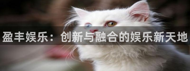 运达娱乐有梦你就来：盈丰娱乐：创新与融合的娱乐新天地