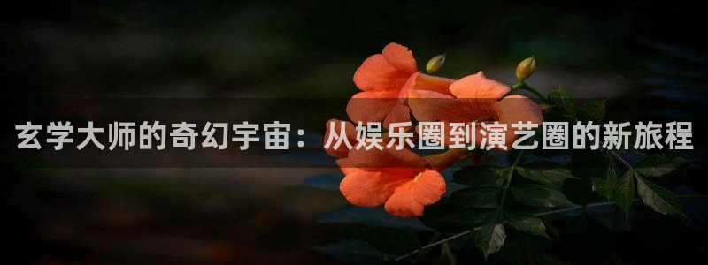 运达娱乐是真的吗：玄学大师的奇幻宇宙：从娱乐圈到演艺圈的新旅程