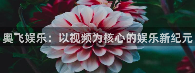 壹号app官方登录入口下载：奥飞娱乐：以视频为核心的娱乐新纪元