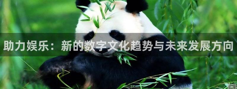 运达娱乐平台官网版下载：助力娱乐：新的数字文化趋势与未来发展方向