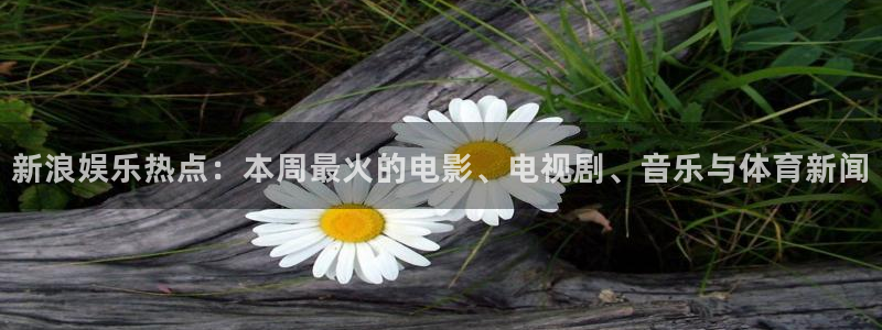运达娱乐app最新版：新浪娱乐热点：本周最火的电影、电视剧、音乐与体育新闻