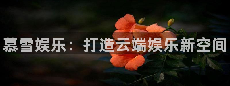 运达娱乐下载入口：慕雪娱乐：打造云端娱乐新空间