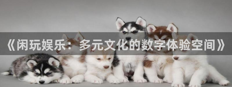 壹号官方app下载安装：《闲玩娱乐：多元文化的数字体验空间》