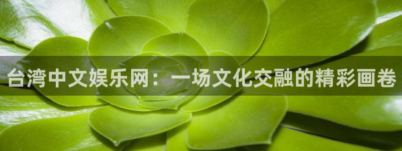 运达娱乐app下载安装：台湾中文娱乐网：一场文化交融的精彩画卷