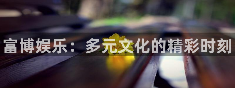 运达娱乐app最新版：富博娱乐：多元文化的精彩时刻