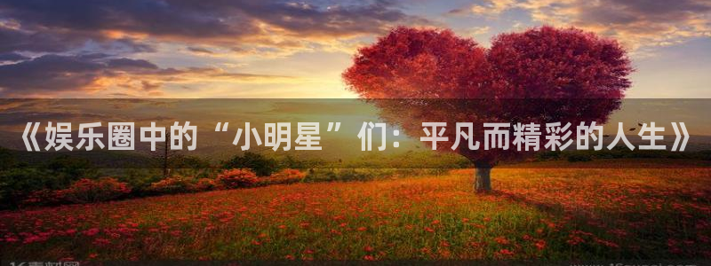 运达娱乐,apk.1：《娱乐圈中的“小明星”们：平凡而精彩的人生》