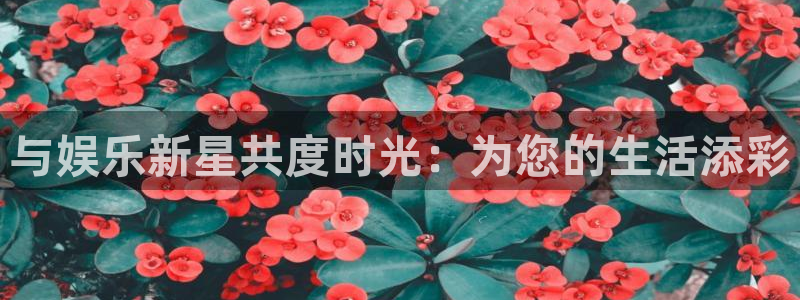运达娱乐充值怎么退款：与娱乐新星共度时光：为您的生活添彩