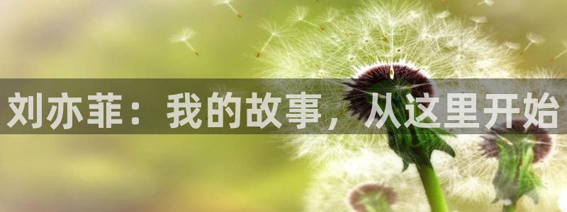 运达娱乐网站：刘亦菲：我的故事，从这里开始