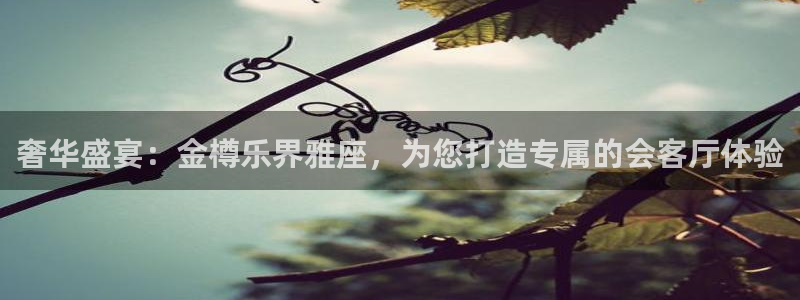 运达娱乐app最新版怎么下载苹果：奢华盛宴：金樽乐界雅座，为您打造专属的会客厅体验