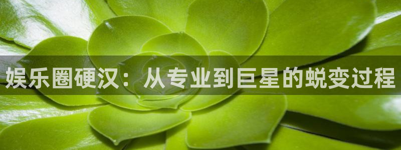 运达娱乐注册登录入口：娱乐圈硬汉：从专业到巨星的蜕变过程